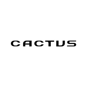 Sticker Citroën - Cactus