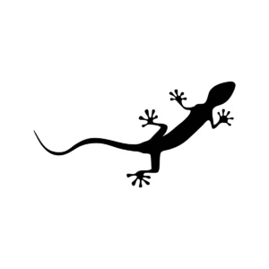 Sticker Audi - Gecko